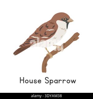 House sparrow perched on tree branch vector illustration, cartoon clipart character, animal in flat style. Wild animals, avian, birds concept Stock Vector