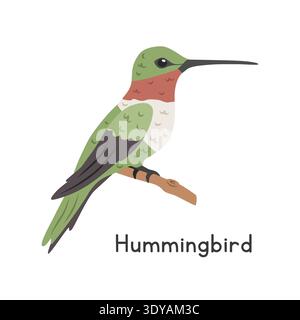 Hummingbird perched on tree branch vector illustration, cartoon clipart character, animal in flat style. Wild animals, avian, birds concept Stock Vector