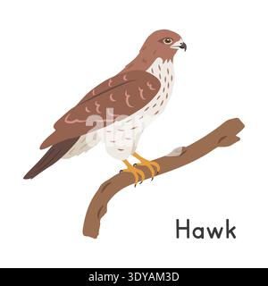 Hawk perched on tree branch vector illustration, cartoon clipart character, animal in flat style. Wild animals, avian, birds concept. Hawk vector Stock Vector