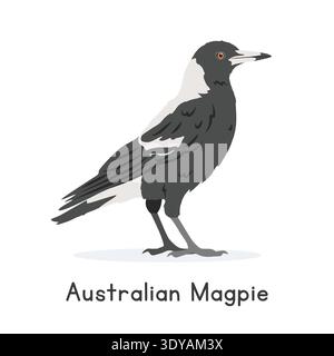 Australian magpie vector illustration, cartoon clipart character, animal in flat style. Wild animals, avian, birds concept. Australian magpie vector Stock Vector