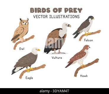 Birds of prey vector illustration set. Predatory birds cartoon clipart set in flat style. Eagle, owl, hawk, falcon, vulture flat vector design Stock Vector