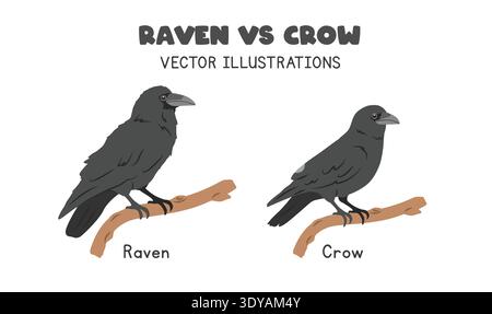 Raven and crow comparison vector illustrations. Black raven vs crow cartoon clipart set in flat style. Wild animals, birds concept Stock Vector
