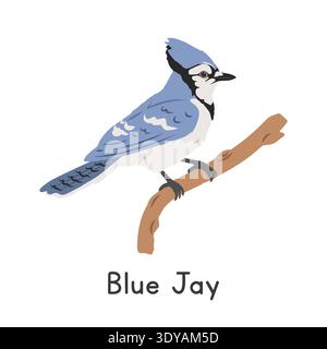 Blue jay perched on tree branch vector illustration, cartoon clipart character, animal in flat style. Wild animals, avian, birds concept. Blue jay Stock Vector