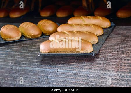Freshly baked bread rolls emerging from the bakery oven in bustling town Stock Photo