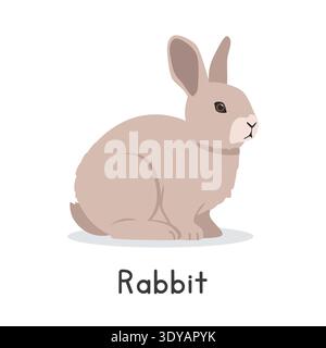 Rabbit vector illustration. Cute bunny rabbit cartoon clipart, animal in flat style. Farm animals concept, rural farming Stock Vector