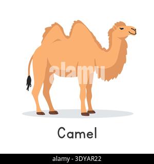 Camel vector illustration. Cute two-humped camel cartoon clipart, animal in flat style. Farm animals concept, rural farming. Livestock desert animal Stock Vector