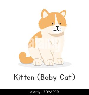 Kitten (baby cat) vector illustration. Cute kitten cartoon clipart, animal in flat style. Farm animals concept, rural farming Stock Vector