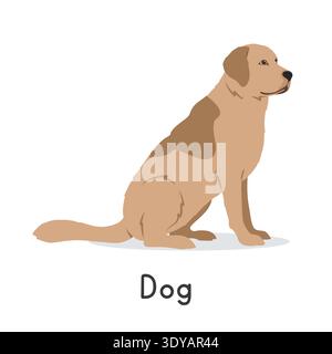 Dog vector illustration. Cute Golden Retriever dog cartoon clipart, animal in flat style. Farm animals concept, rural farming Stock Vector