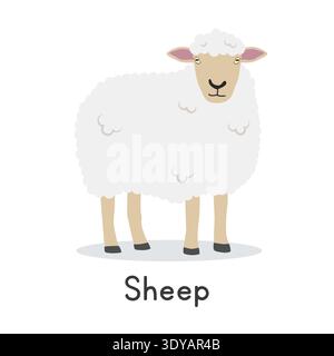Sheep vector illustration. Cute sheep cartoon clipart, animal in flat style. Farm animals concept, rural farming. Livestock animal sheep vector design Stock Vector