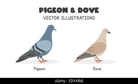 Pigeon and dove comparison vector illustrations. Pigeon vs hare cartoon clipart set in flat style. Pet animals, farm animals concept Stock Vector