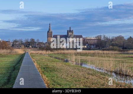 Metal walkway leading through the Bossche Broek in Den Bosch, marsh towards the iconic St. John's Cathedral in the distance under a soft blue sky. Her Stock Photo
