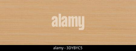 Natural ash veneer background in adorable light beige color. Natural wood texture, pattern of a long veneer sheet. Stock Photo
