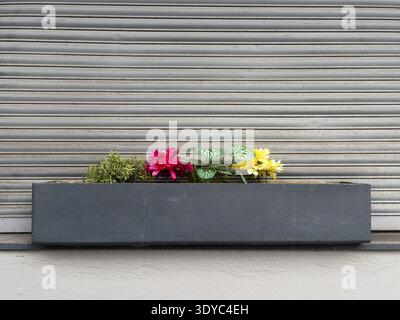 Flower box with artificial colorful flowers in front of closed shutter, Wuppertal, Germany Stock Photo