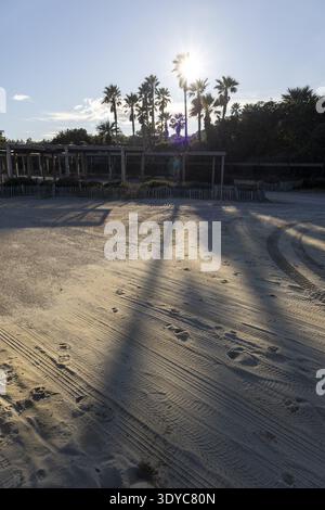 Low winter sun setting behind palm trees near the beach parking area, Ramatuelle, France Stock Photo