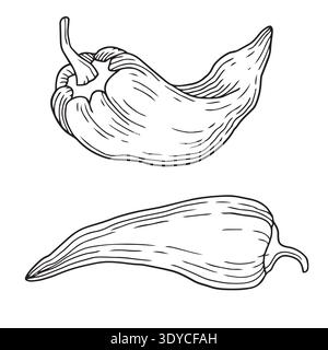 Hand-drawn chili peppers in graphic sketch style isolated on white background for product design, recipe or ingredients Stock Vector