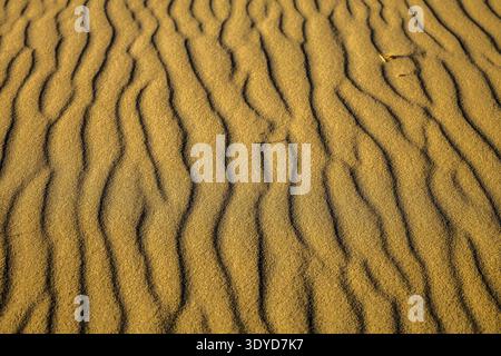 Close-up of wavy sand patterns formed by wind, showcasing intricate textures and warm tones under sunlight Stock Photo