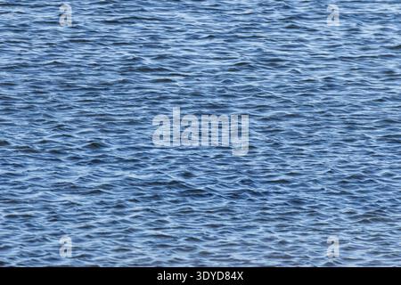 Rippling surface of Atlantic coastal water creating natural blue sea texture, County Donegal, Ireland. Stock Photo