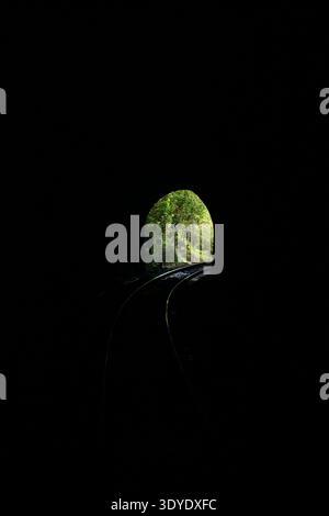 View from a train as it approaches the light at the end of a dark tunnel Stock Photo