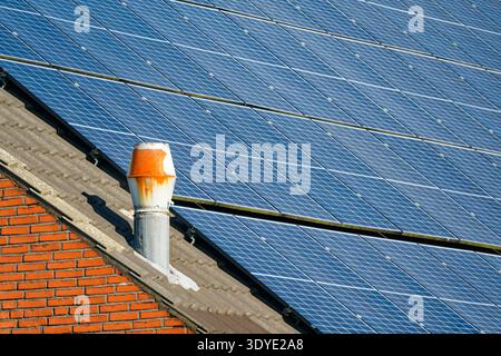 Solar panels cover a rooftop under a clear blue sky. Two metal pipes ...
