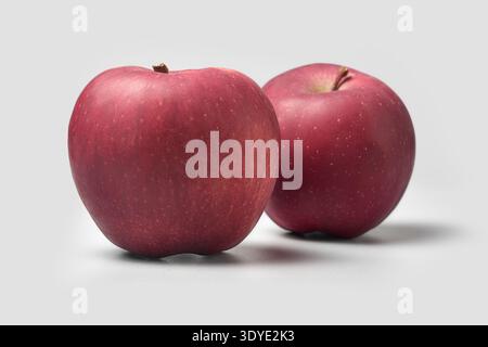 two whole red apples isolated gray background, smooth skin with natural speckles and short brown stems on fresh fruit, front view with soft focus Stock Photo