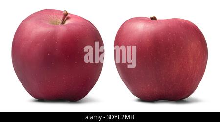 two whole red apples isolated white background, smooth skin with natural speckles and short brown stems on fresh fruit in different angles Stock Photo