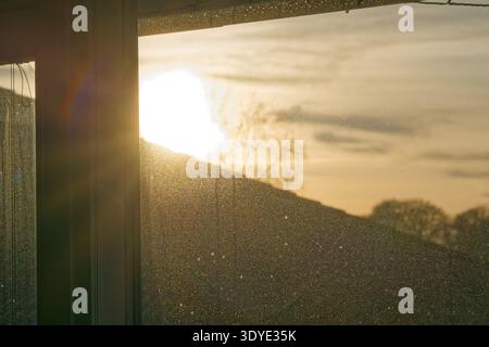 Sunlight streams through a dusty window pane illuminating particles in the air with a blurred view of trees and sky outside during golden hour. Stock Photo