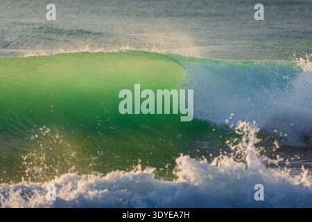 Perfect wave crashing in ocean, sunset sunlight. Best wave for surfing Stock Photo