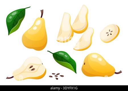 Vector set of whole pears, halves and slices Stock Vector