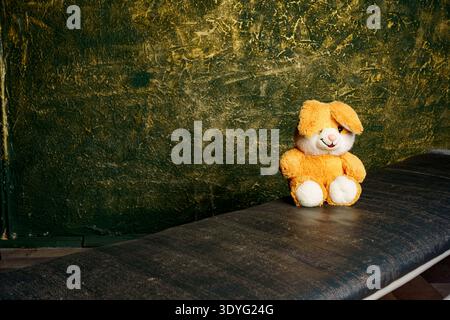 Forgotten stuffed bunny sits alone on a dark bench in a room with green walls during daytime Stock Photo