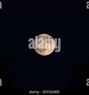 Full moon shines bright against deep night sky. Silhouetted tree branches frame the scene below. Calm, serene, and timeless atmosphere dominates the v Stock Photo