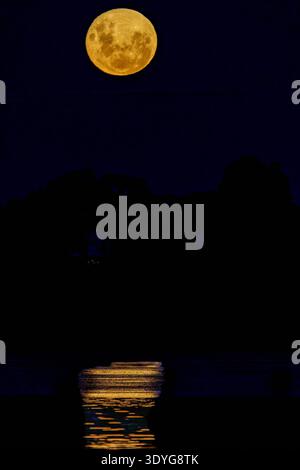Blood moon during rising before eclipse on black negative space background in vertical composition. Stock Photo