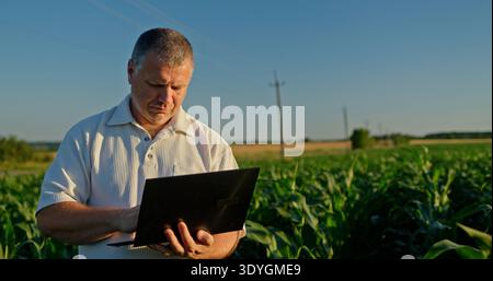 Happy farmer working on a laptop, standing against a picturesque backdrop of corn and wheat fields Stock Photo