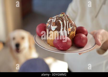 A decorated Easter plate featuring a cake with chocolate and white icing, colorful sprinkles, and red dyed eggs, with a Golden Retriever  Stock Photo