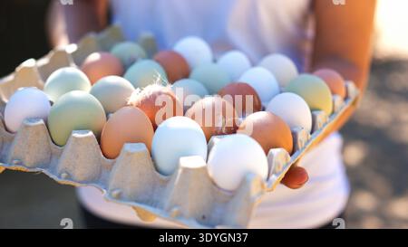 Person holding carton of fresh organic farm eggs outdoors Stock Photo