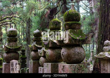 Ancient stone funeral monuments at Okunoin Cemetery in Koyasan, Japan, covered in thick moss, reflecting centuries of history and the serene, sacred a Stock Photo