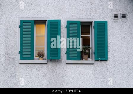 Two windows with green shutters and flower pots on a white textured wall of a residential building in Switzerland. Stock Photo