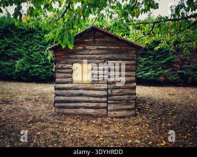A petite cabin constructed from logs features a glowing window. Green foliage hangs above,while short, dry grass and scattered leaves cover the ground Stock Photo