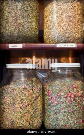 Close up of jars of  medicinal dried herbs and plants on shelves in apothecary shop. Stock Photo