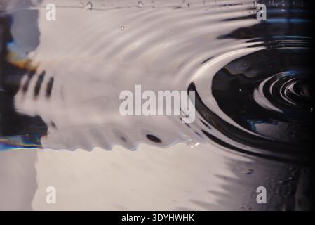 339.Close-up of water surface showing ripples radiating from right-side impact. Reflections and refractions create abstract curved patterns in gray, w Stock Photo