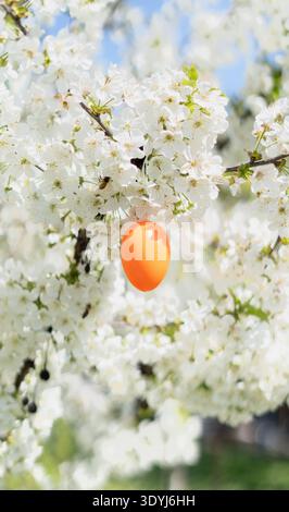 Vertical shot of orange Easter egg ornament hanging among white blossoms on a spring tree branch in natural daylight Stock Photo