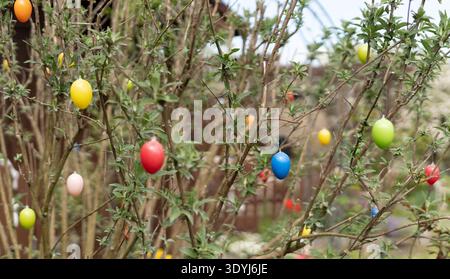 Multiple colorful Easter eggs decorating tree branches in blooming spring orchard Stock Photo