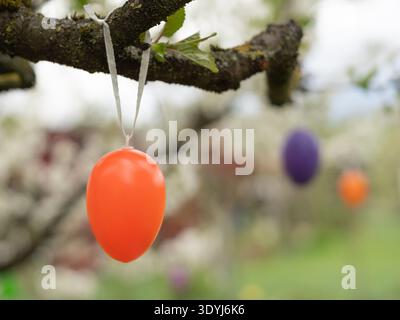 Red Easter egg hanging on blossom branch with soft spring background Stock Photo