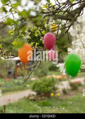 Several colorful Easter eggs hanging from tree branches in blooming spring garden Stock Photo