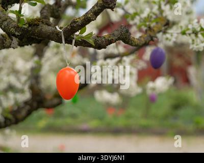 Decorative Easter eggs hanging on blossoming spring tree branch in garden Stock Photo