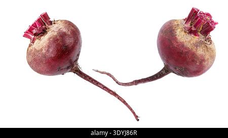Two whole raw red beetroots isolated on white background. File contains clipping path. Stock Photo