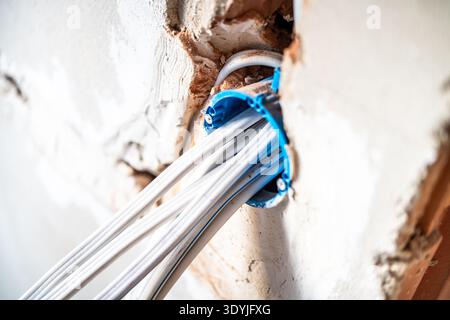 Close-up of multiple white electrical cables emerging from a blue plastic conduit embedded in a partially plastered wall during construction. Stock Photo