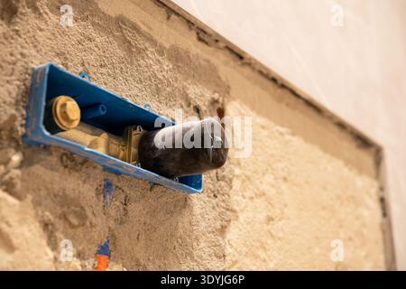 A blue plumbing valve assembly with a black dust cap is embedded in a partially plastered wall, showing rough textured concrete and construction mater Stock Photo