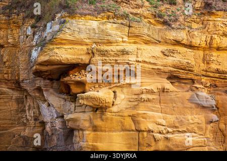 Eroded sandstone formation on the North Sea coast in Northumberland.  The colourful, stratified rock outcrops and weathered, patterned formations are Stock Photo