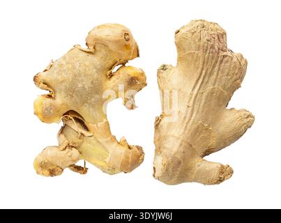 natural fresh and dried ginger roots isolated on white background from Thailand Stock Photo