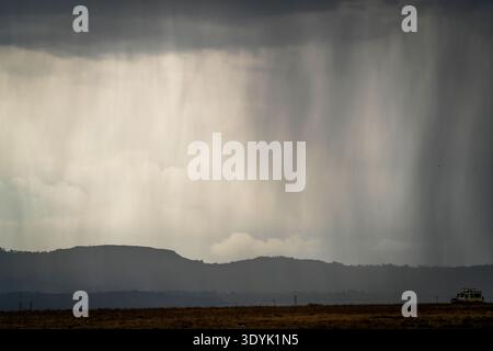Dramatic rain shafts fall from dark storm clouds over distant hills and open grassland, moody weather landscape with copy space. Stock Photo
